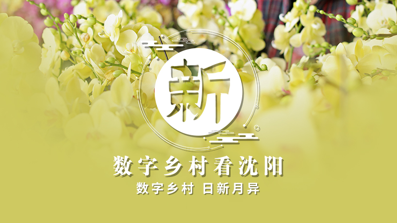 擘画乡村新景象 书写振兴新篇章丨新 数字乡村看沈阳